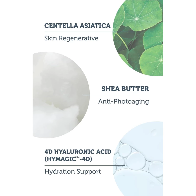 ⁦مرطب نهاري ذا بيورست مع حماية من الشمس SPF 50+⁩ - الصورة ⁦4⁩