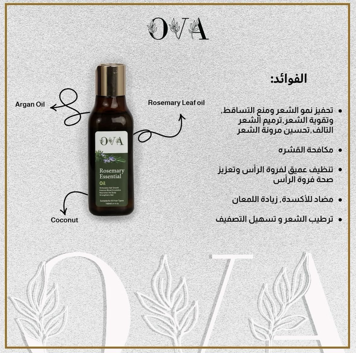 زيت الروزماري العطري من أوفا - الصورة 4